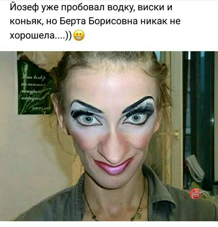 Йозеф уже пробовал водку виски и коньяк но Берта Борисовна никак не хорошела9