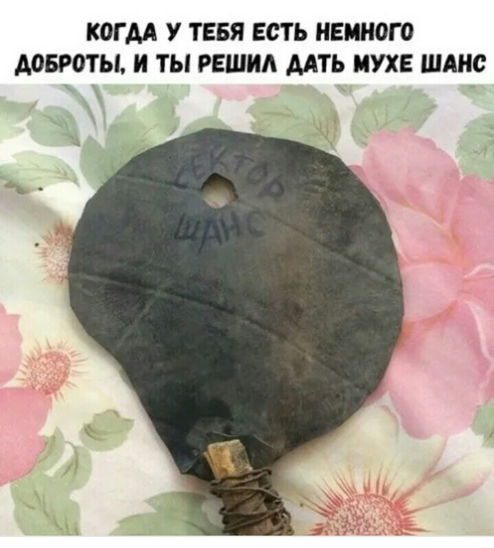 КОГ АА У ТЕБЯ ЕСТЬ НЕМНОГО АОБРОТЫ Н ТЫ РЕШНА ДАТЬ НУХЕ ШАНС