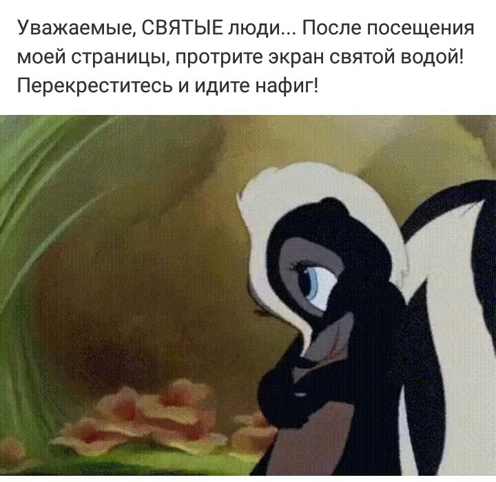 Уважаемые СВЯТЫЕ люди После посещения моей страницы протрите экран святой водой Перекреститесь и идите нафиг