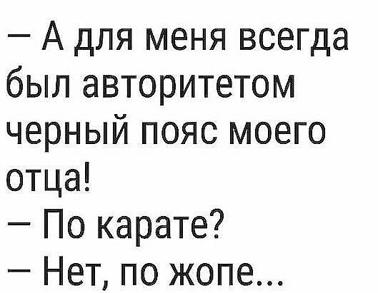 А для меня всегда был авторитетом черный пояс моего отца По карате Нет по жопе