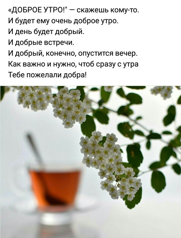 ДОБРОЕ УТРО скажешь комуто И будет ему очень доброе утро И день будет добрый И добрые встречи И добрый конечно опустится вечер Как важно и нужно чтоб сразу с утра Тебе пожелали добра _