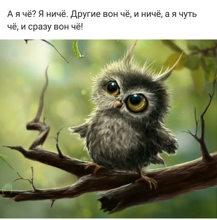 А я чё Я ничё Другие вон чё и ничё а я чуть чё и сразу вон чё