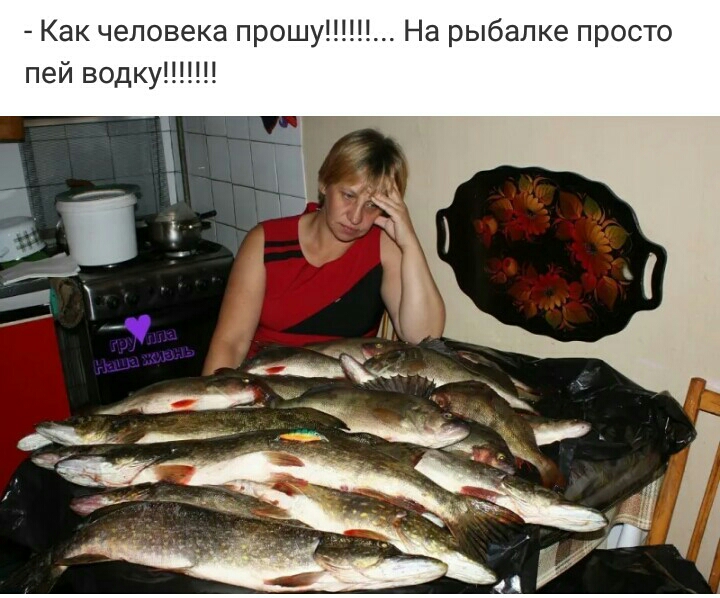 Как человека прошу На рыбалке просто пей водку