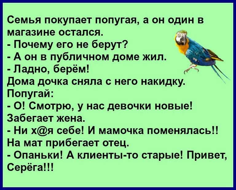 Семья покупает попугая а он один в магазине остался Почему его не берут А он в публичном доме жил Ладно берём Дома дочка сняла с него накидку Попугай 0 Смотрю у нас девочки новые Забегает жена Ни хя себе И мамочка поменялась На мат прибегает отец Опаньки А клиенты то старые Привет Серёга