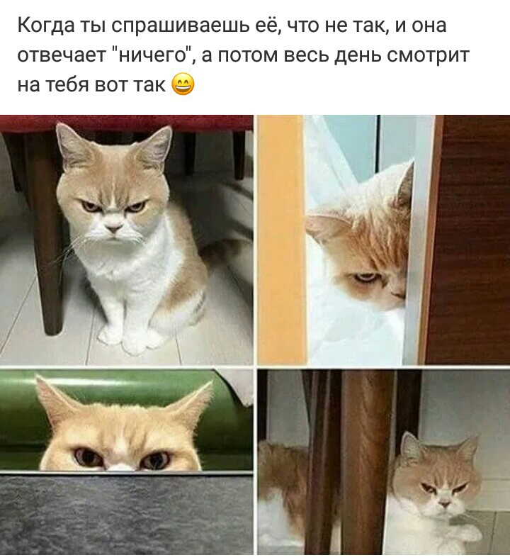 Когда ты спрашиваешь её что не так и она отвечает ничего а потом весь день смотрит на тебя вот так