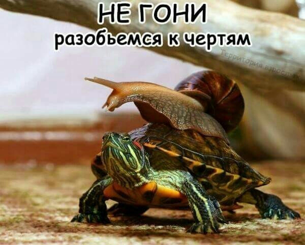 НЕБОН И