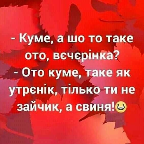 Куме а шо то таке ото вечедімка _ Ото куме ше як утренік тількб ти не зайчик а ждёте В