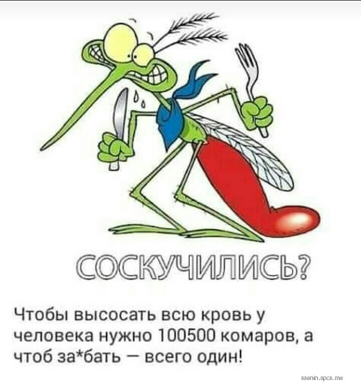 СССЫ Чтобы высосать всю кровь у человека нужно 100500 комаров а чтоб забать всего один