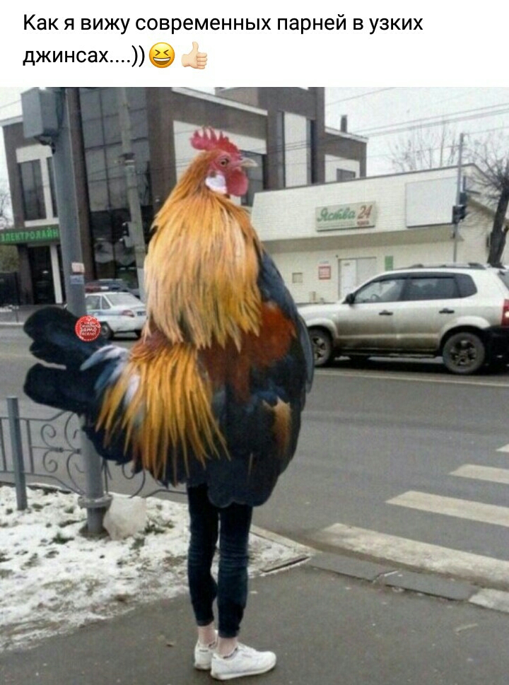 Как я вижу современных парней в узких джинсахе
