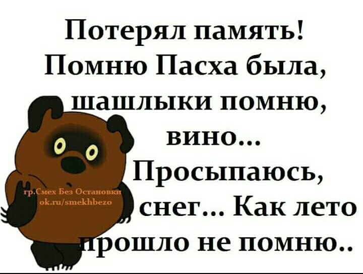 Потерял память Помню Пасха была шашлыки помню вино Просыпаюсь снег Как лето рошло не помню до