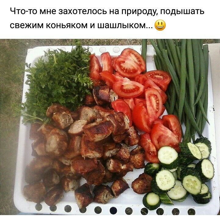 Что то мне захотелось на природу одышать свежим коньяком и шашлыкоме