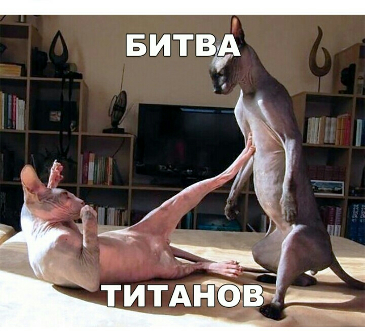 ТИТАНОВ __