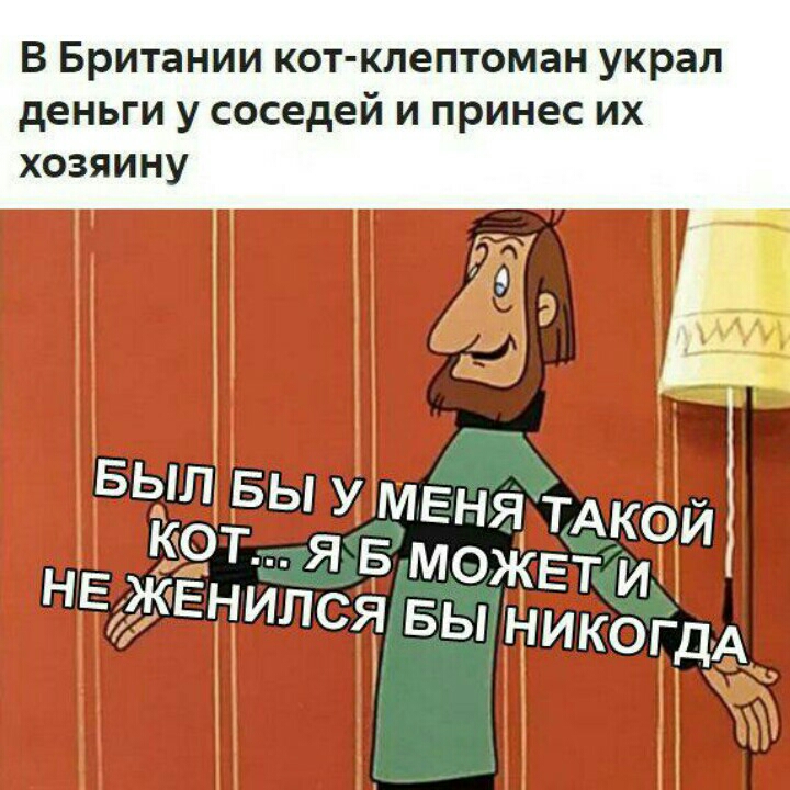 В Британии кот клептоман украл деньги у соседей и принес их хозяину