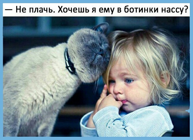 Не плачь Хочешь я ему в ботинки нассу