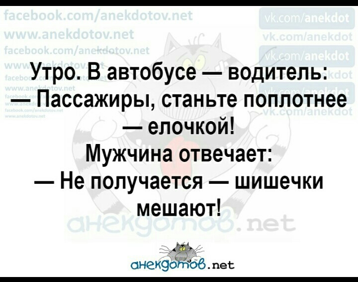 Утро В автобусе водитель Пассажиры станьте поплотнее епочкой Мужчина отвечает Не получается шишечки мешают 5 сиеиэоъыё пес