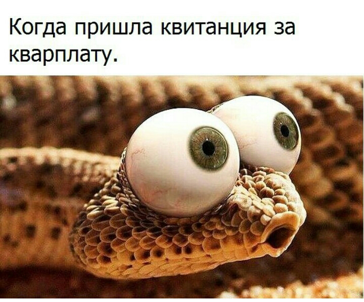 Когда пришла квитанция за кварппату