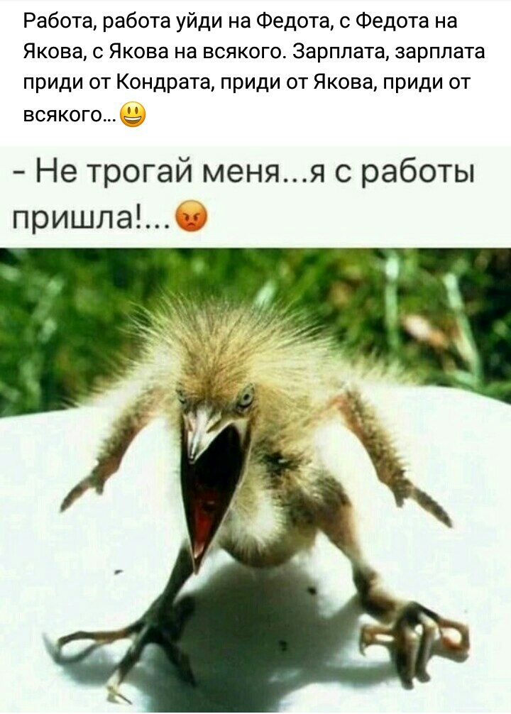 Работа работа уйди на Федота с Федота на Якова Якова на всякого Зарплата зарплата приди от Кондрата приди от Якова приди от всякого Не трогай меняя с работы пришла