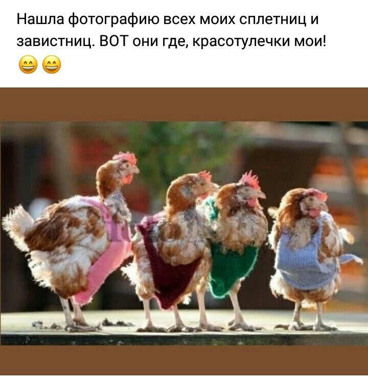Нашла фотографию всех моих сплетниц и завистниц ВОТ они где красотулечки мои