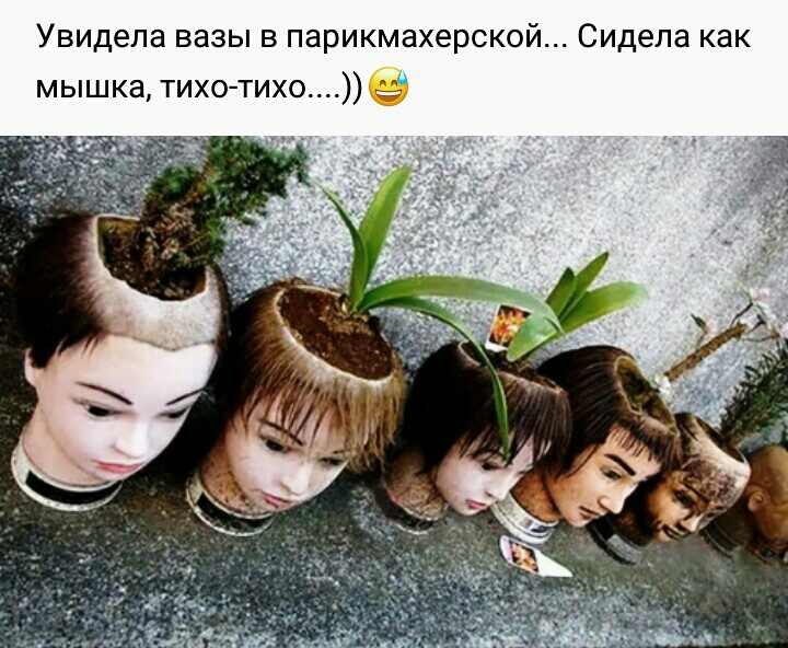 Увидела ВЭЗЫ В парикмахерской Сидела КЗК мышка тихотихо____