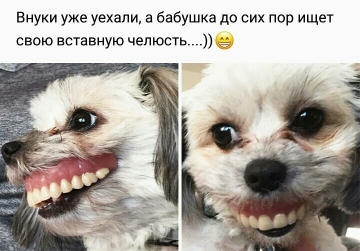 Внуки уже уехали а бабушка до сих пор ищет свою вставную челюсть