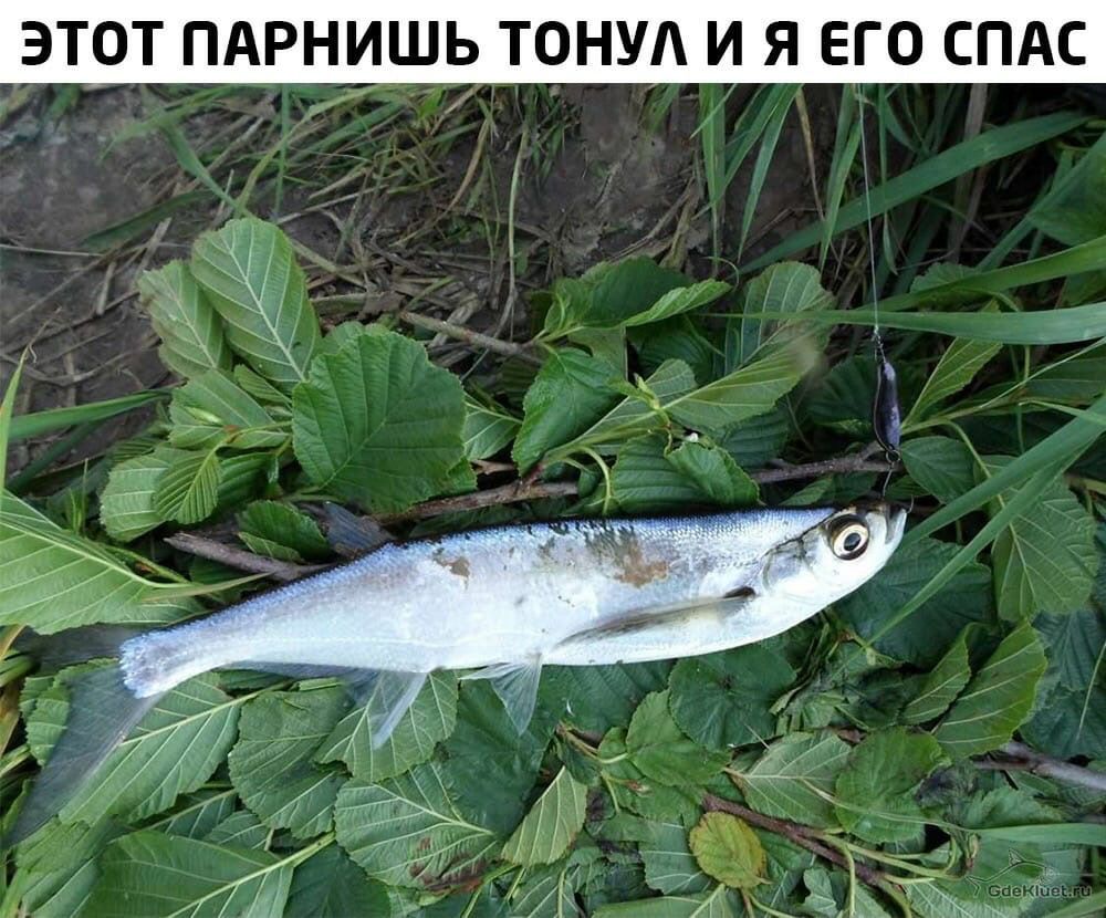 ЭТОТ ПАРНИШЬ ТОНУА Я ЕГО СПАС