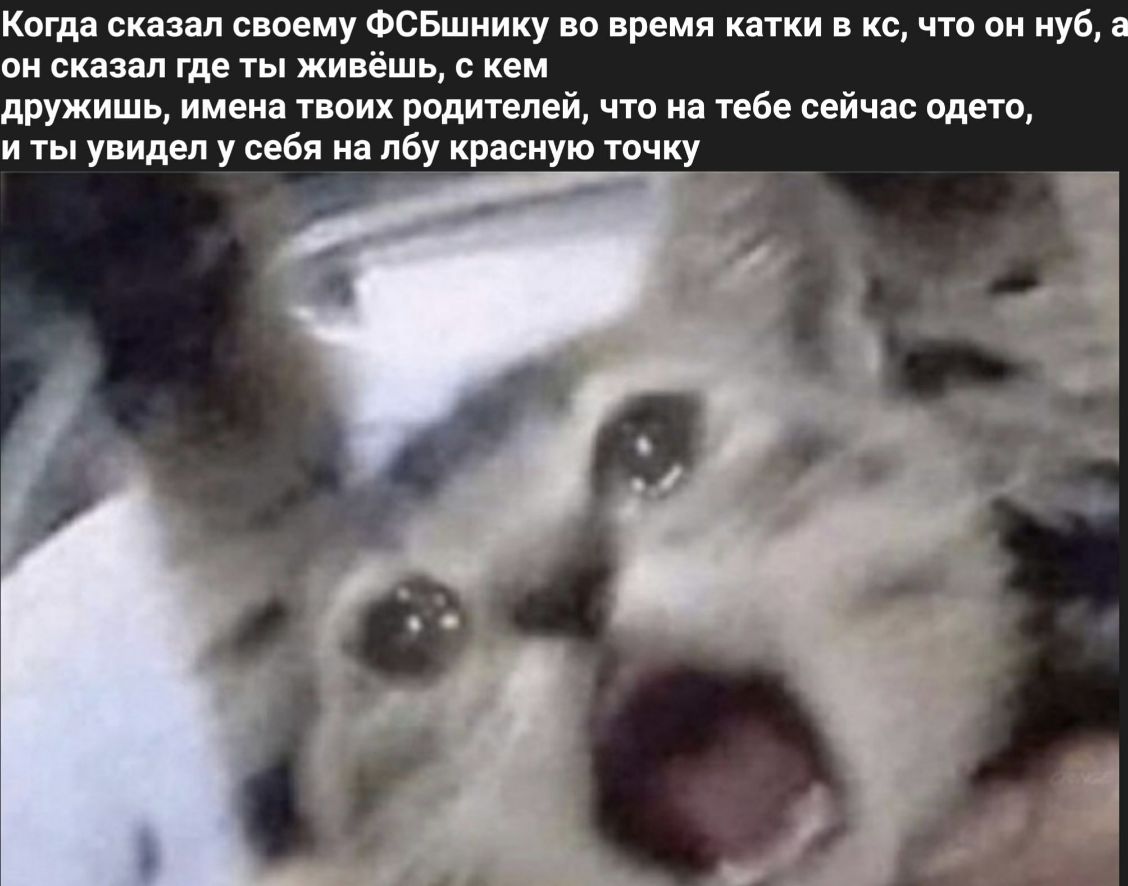 Когда сказал своему ФСБшнику во время катки в кс что он нуб он сказал где ты живёшь с кем дружишь имена твоих родителей что на тебе сейчас одето и ты увидел у себя на дбудфасную точку