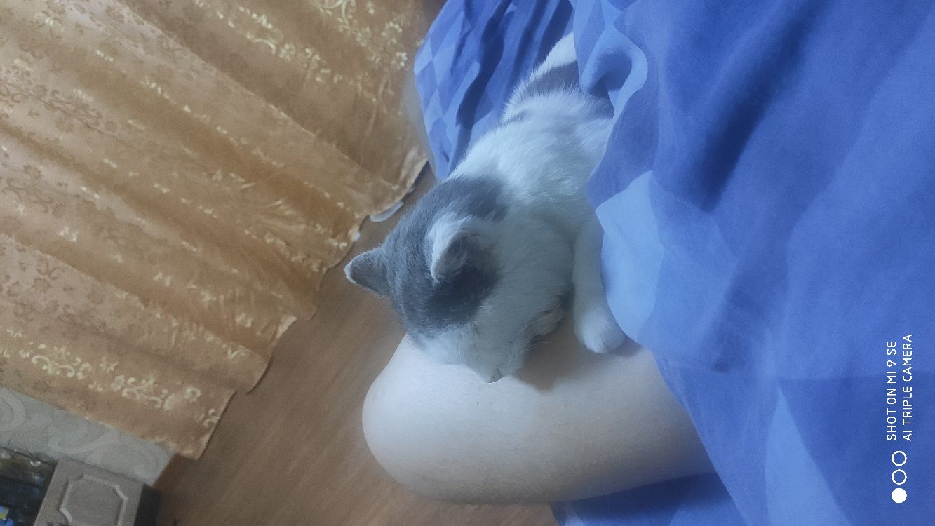 кш иди _ __шшб 20 Рощи ОО