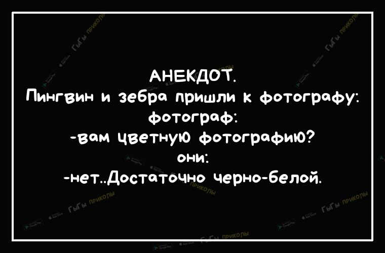 АНЕКДОТ Пингвин и зебра пришли к фотографу ФОТОграф _вем цветную фотографию ОНИ нетДостоточно черно белой