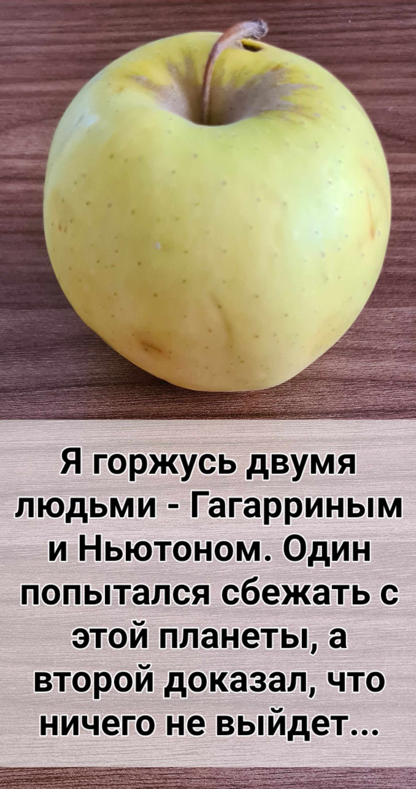 Я горжусь двумя людьми Гагарриным и Ньютоном Один попытался сбежать с этой планеты а второй доказал что ничего не выйдет