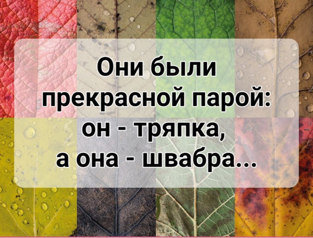 35 Они были прекрасной парой он тряпка а она швабра ЕИ