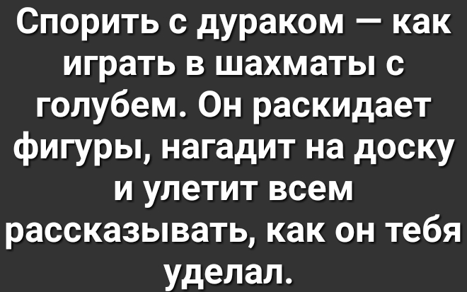 Спорить с дураком как играть в шахматы с голубем Он раскидает фигуры нагадит на доску и улетит всем рассказывать как он тебя уделал