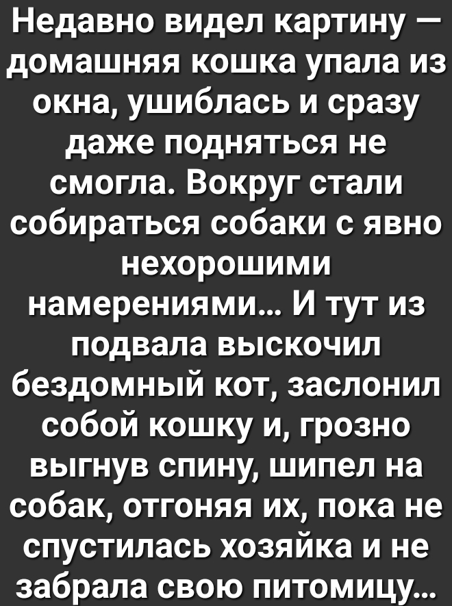Недавно видел картину домашняя кошка упала из окна ушиблась и сразу даже подняться не смогла Вокруг стали собираться собаки с явно нехорошими намерениями И тут из подвала выскочил бездомный кот заслонил собой кошку и грозно выгнув спину шипел на собак отгоняя их пока не спустилась хозяйка и не забрала свою питомицу