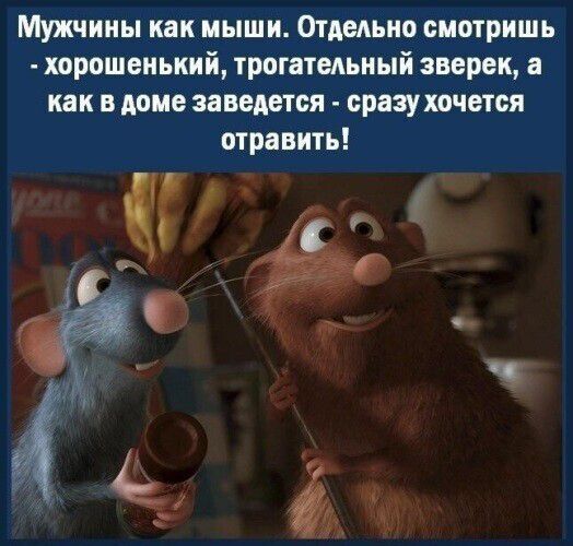 Мужчины как мыши Отдедьно смотришь хорошенький трогательный зверек а как в доме заведется сразу хочется отравить
