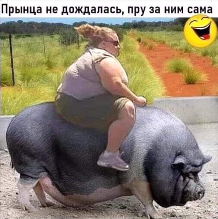 Прынца не дождалась пру за ним сама