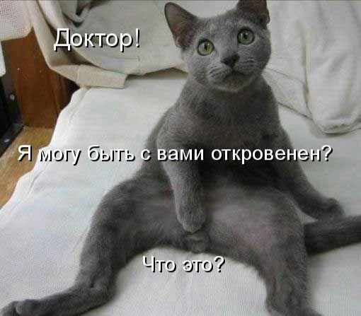 Что это