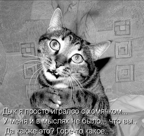 ьіёкггыг У М И и