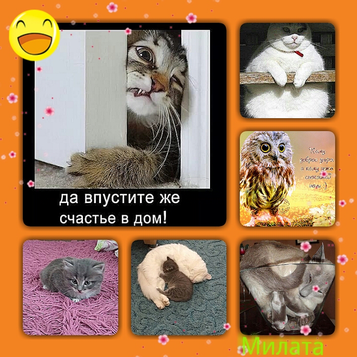 да впустите же счастье в дом