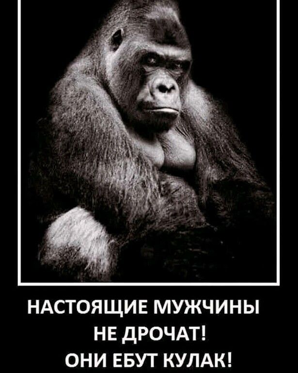 НАСТОЯЩИЕ МУЖЧИНЫ НЕ дРОЧАТ ОНИ ЕБУТ КУЛАК