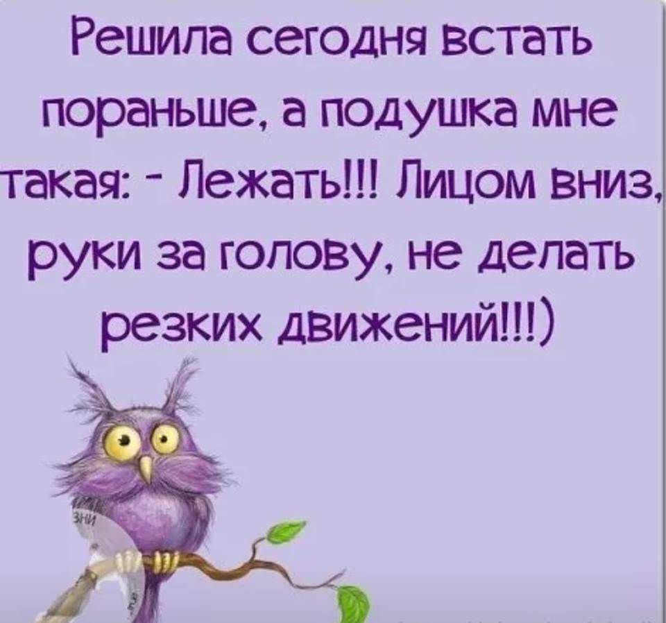 Решила сегодня встать пораньше а подушка мне такая Лежать Лицом вниз руки за голову не делать резких движений