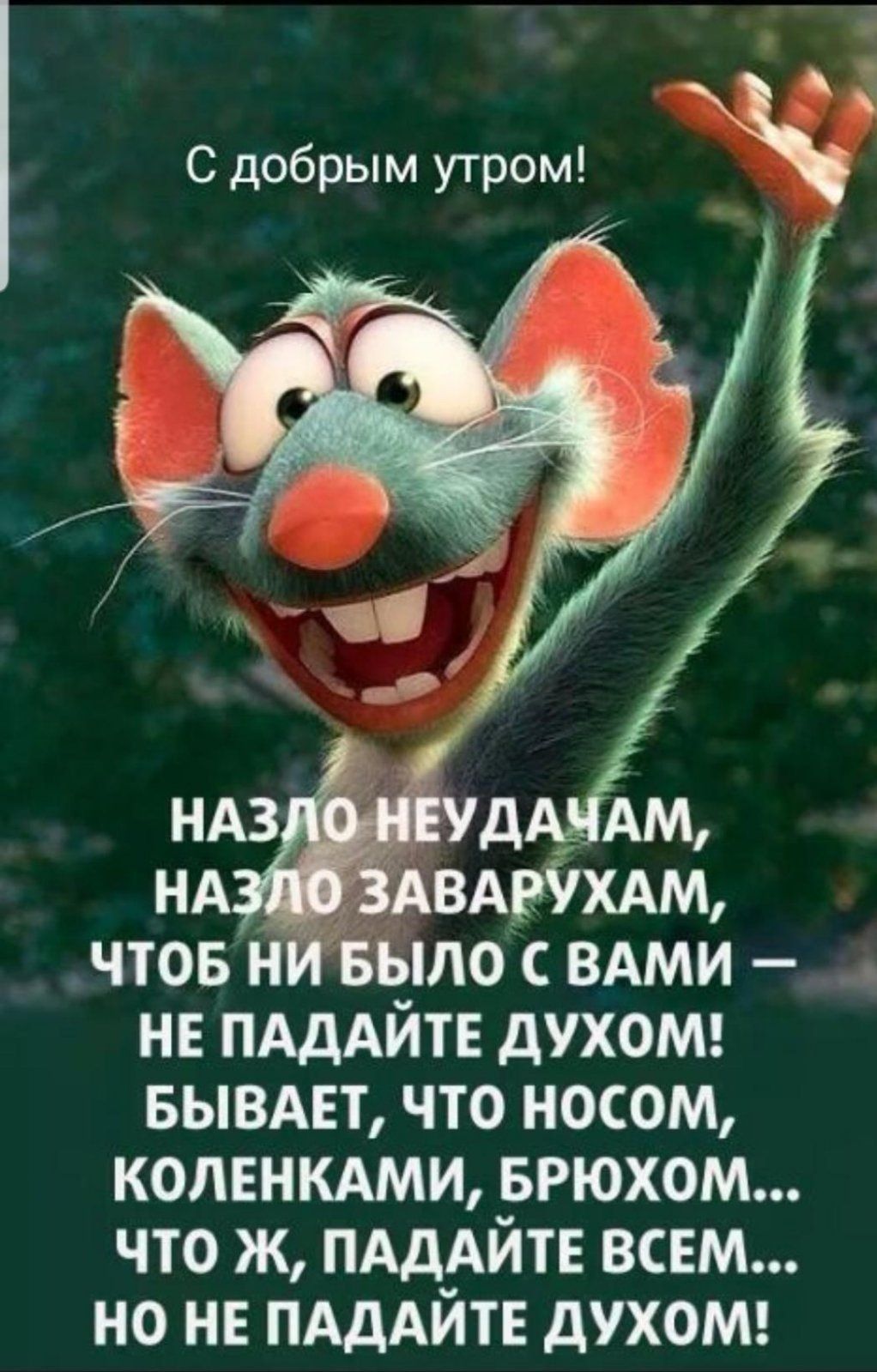 С добрым утром чтов нивыло с вдми н ПАДАЙТЕ духош вывдп что носом коленкдми врюхом что ж ПАдАЙТЕ ВСЕМ но не ПАДАЙТЕ духош