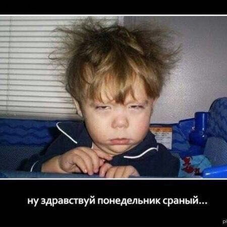 ну здравствуй понедельник сраный