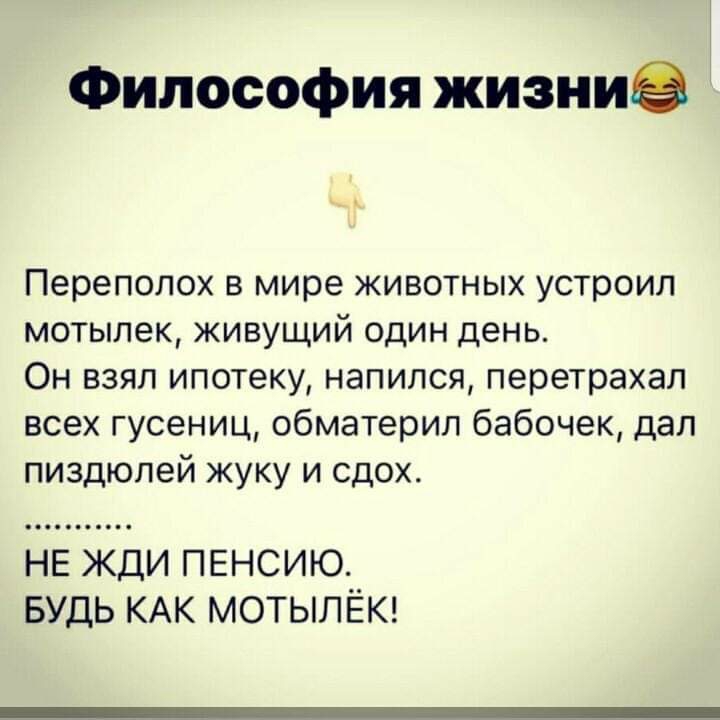 Философия жизнив Переполох в мире животных устроил мотылек живущий один день Он взял ипотеку напился перетрахал всех гусениц обматерил бабочек дал пиздюлей жуку и сдох НЕ ЖДИ ПЕНСИЮ БУДЬ КАК МОТЫЛЁК