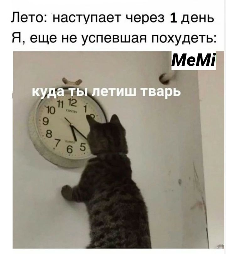 Лето наступает через 1 день Я еще не успевшая похудеть МеМі