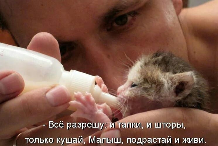 Всё разреш и шторы и _ только кущди Малыш подрастаи и живи