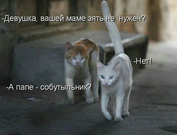 А папе собуть ниё 51