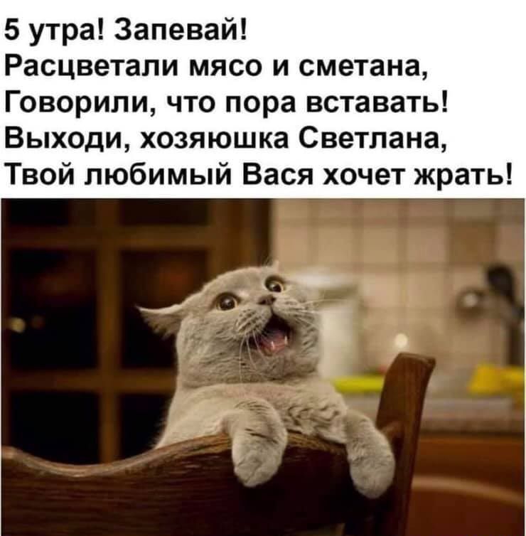 5 утра Запевай Расцветали мясо и сметана Говорили что пора вставать Выходи хозяюшка Светлана Твой любимый Вася хочет жрать