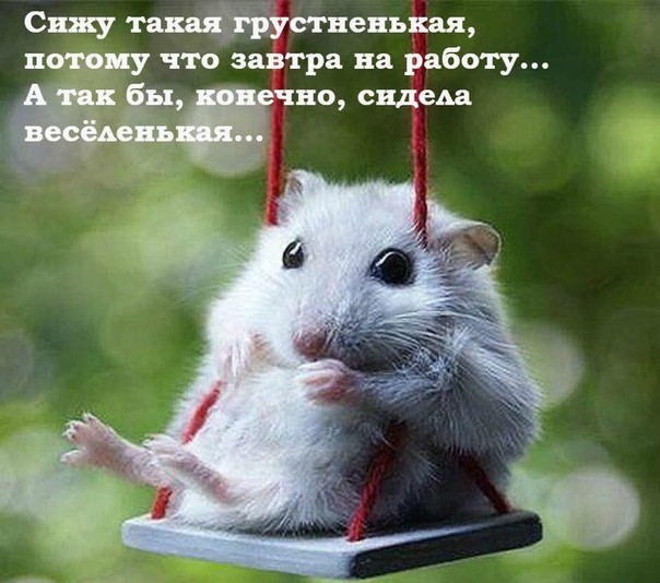 Сижу тапёіустневьш потоку что завтра на работу Ёчнщ сядем