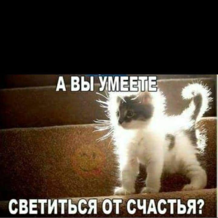 сввтитъсяот сіАстьягй