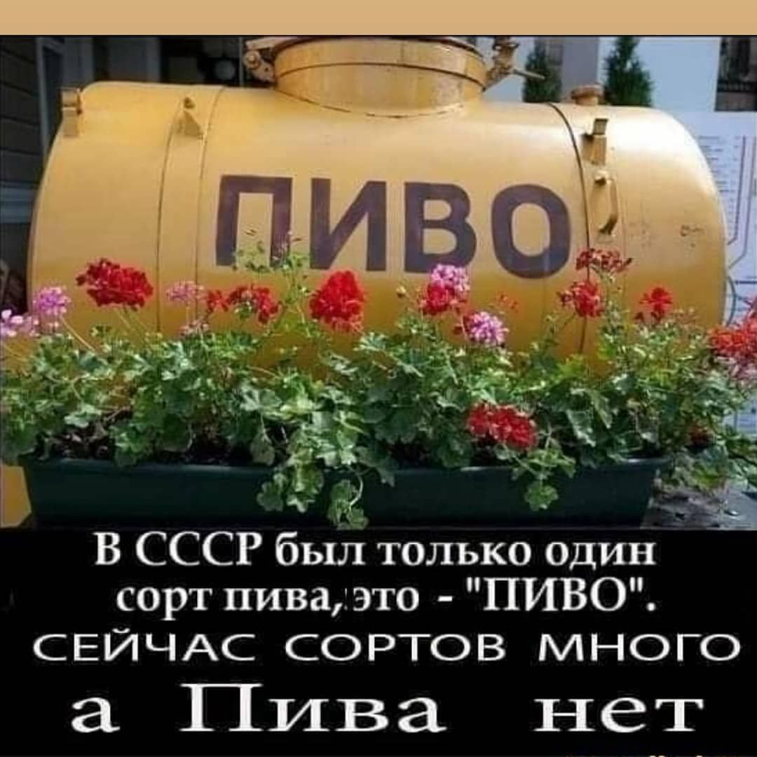 сорт пива это ПИВО СЕЙЧАС СОРТОВ МНОГО Пива нет