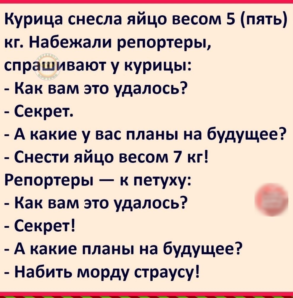 Курица снесла яйцо весом 5 пять кг Набежали репортеры спрашивают у курицы Как вам это удалось Секрет А какие у вас планы на будущее Снести яйцо весом 7 кг Репортеры к петуху Как вам это удалось _ Секрет А какие планы на будущее Набить морду страусу